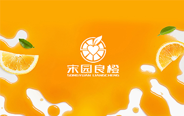 某良橙——甘孜LOGO设计