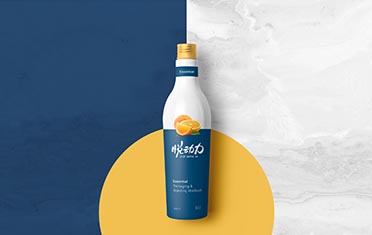 甘孜某动力 品牌设计