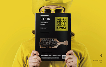 甘孜绯茶品牌设计
